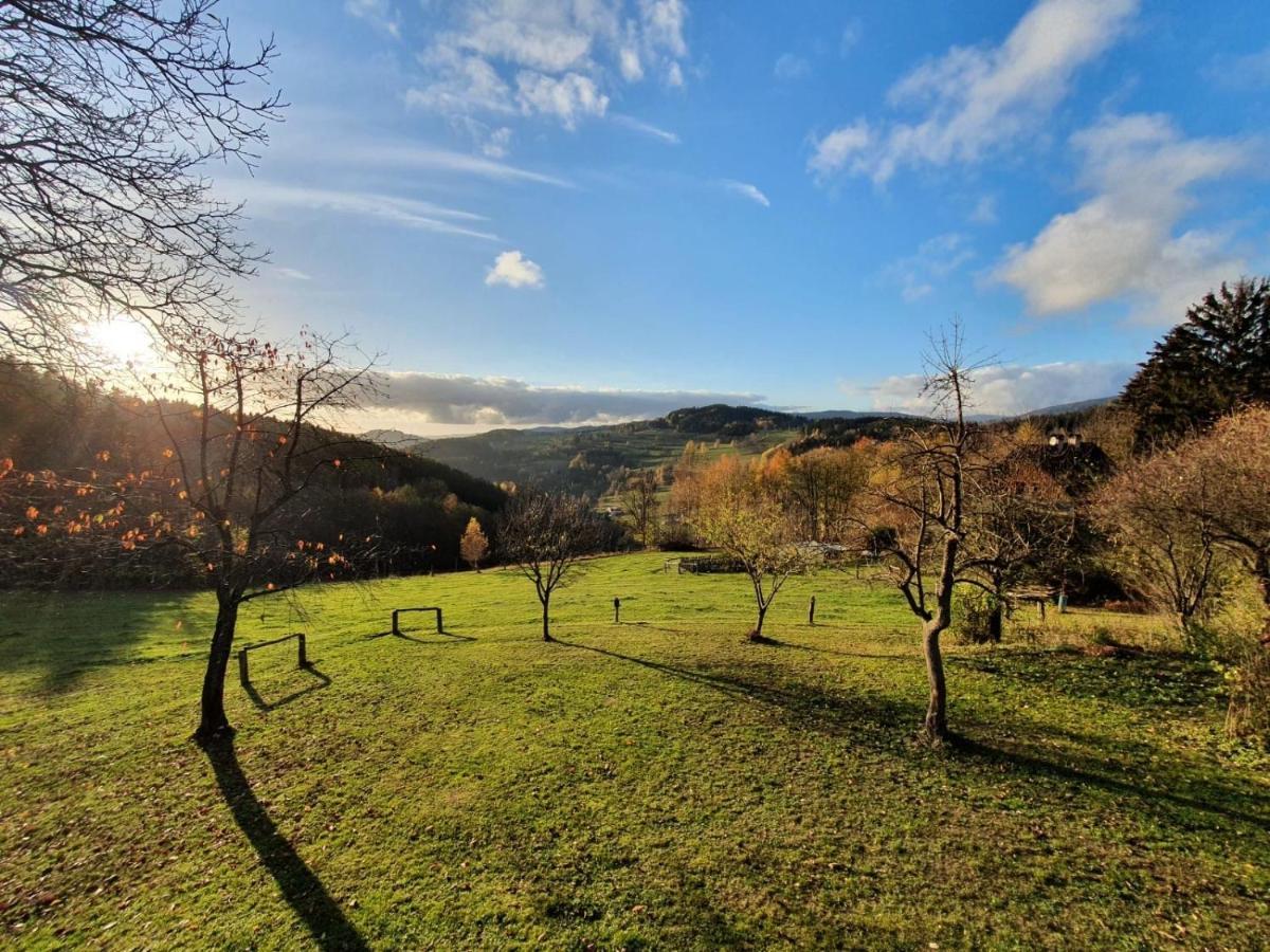 Utulny Apartman V Srdci Krkonos Se Saunou Jablonec nad Jizerou Exterior photo